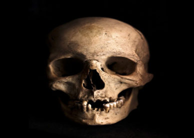 صور جمجمة أنسان تخوف Human Skull Horror Photo-عالم الصور